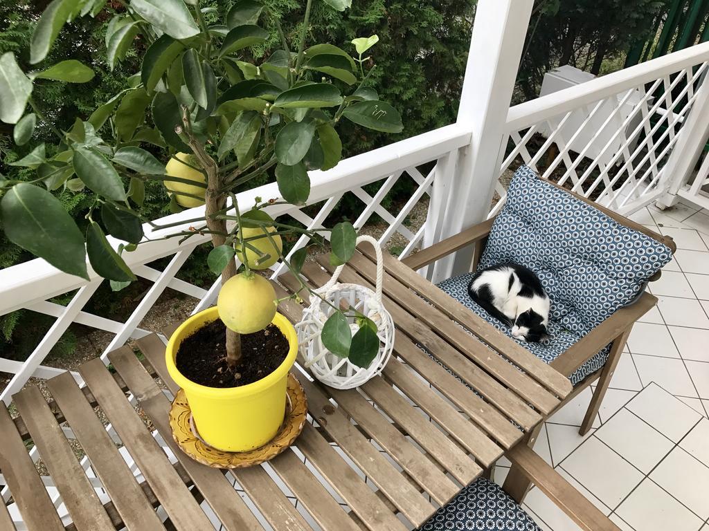 Home Sweet Apartment Buk Bagian luar foto